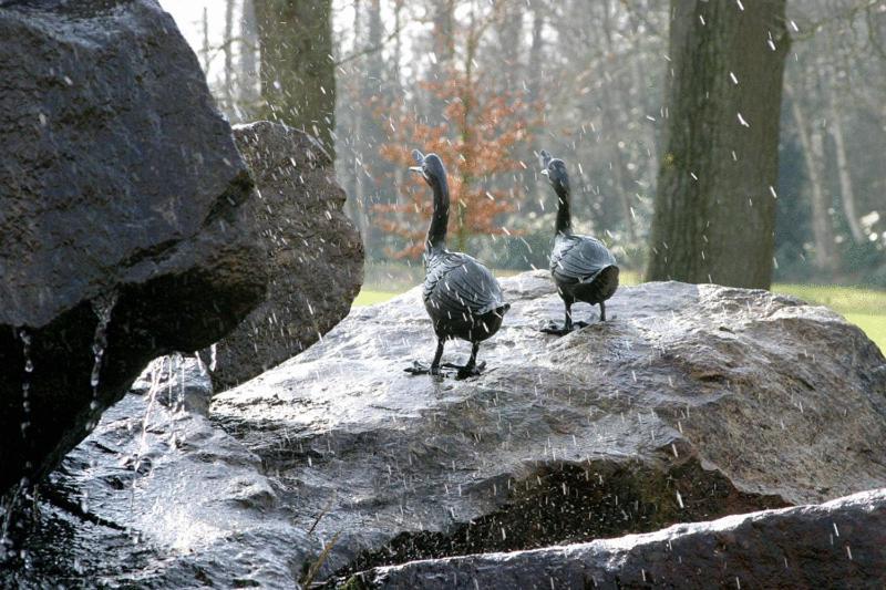 Landhotel Waldseiter Hof Bad Bentheim Bagian luar foto