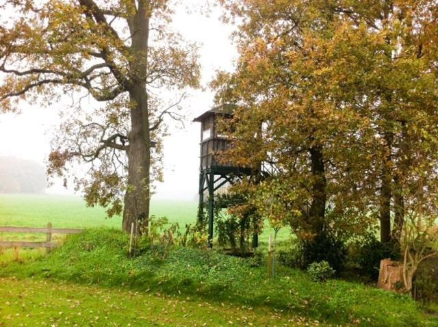 Landhotel Waldseiter Hof Bad Bentheim Bagian luar foto